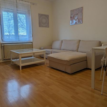 Le Balois - Appartement 2 Chambres, Salon, Cuisine Equipee, Parking Et Wifi Gratuit Mulhouse Exteriör bild