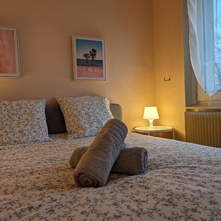 Le Balois - Appartement 2 Chambres, Salon, Cuisine Equipee, Parking Et Wifi Gratuit Mulhouse Exteriör bild
