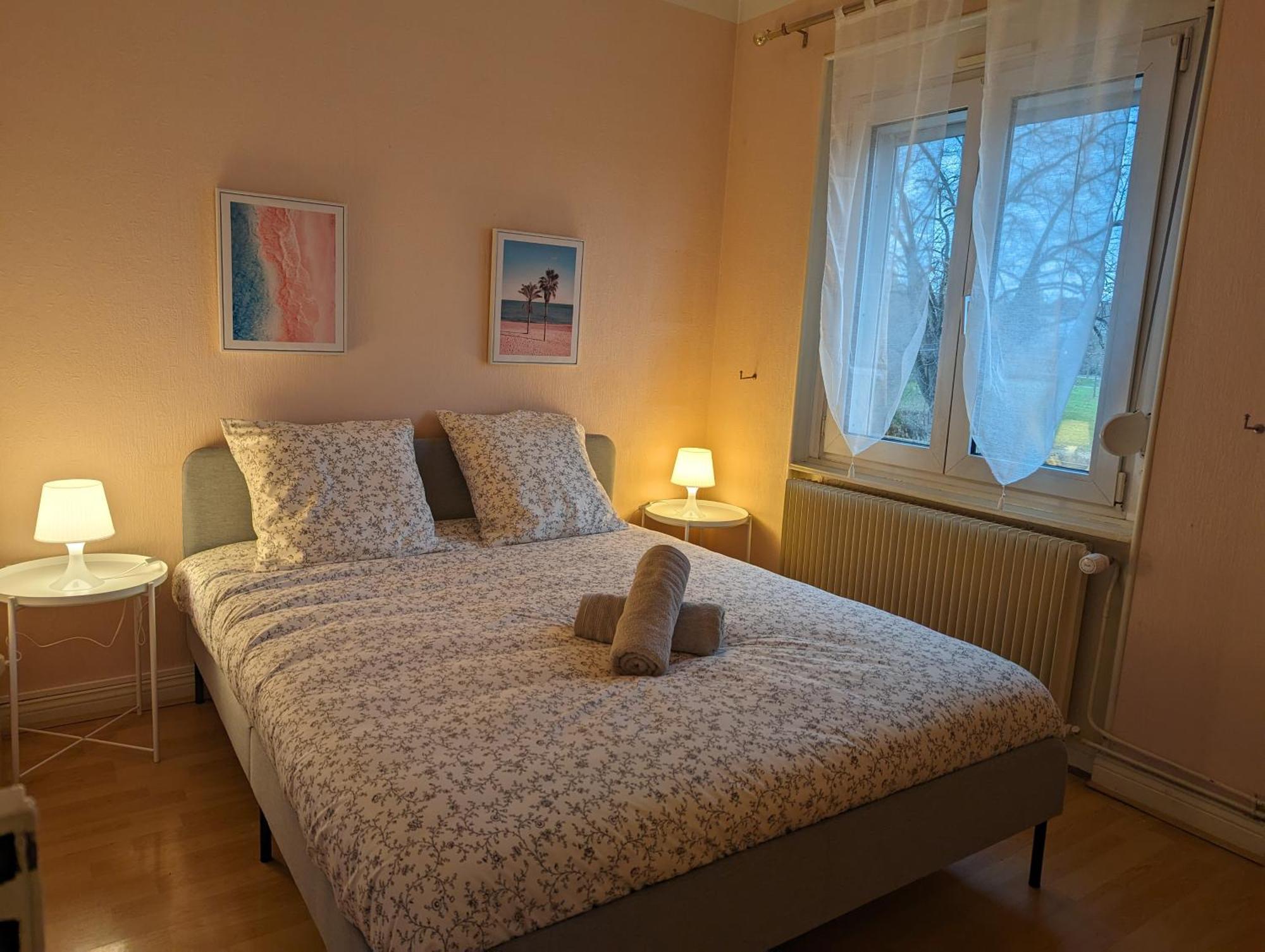 Le Balois - Appartement 2 Chambres, Salon, Cuisine Equipee, Parking Et Wifi Gratuit Mulhouse Exteriör bild