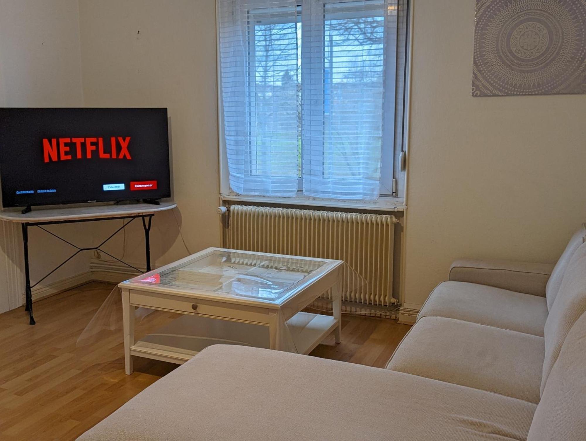 Le Balois - Appartement 2 Chambres, Salon, Cuisine Equipee, Parking Et Wifi Gratuit Mulhouse Exteriör bild