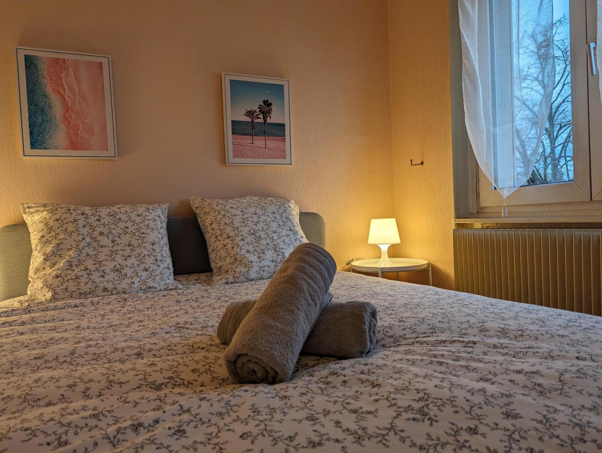Le Balois - Appartement 2 Chambres, Salon, Cuisine Equipee, Parking Et Wifi Gratuit Mulhouse Exteriör bild